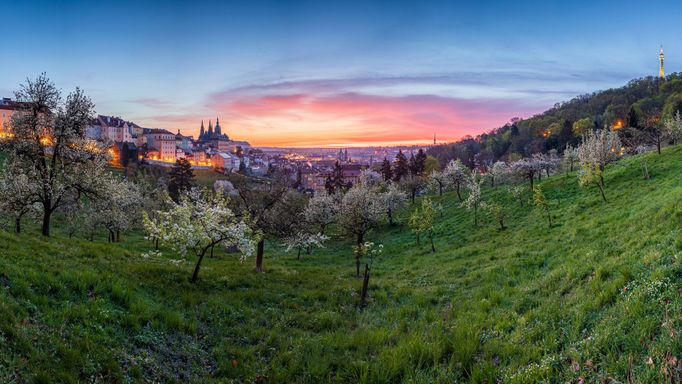 Průřez tvorbou externího fotografa Radoslava Vnenčáka za rok 2024.