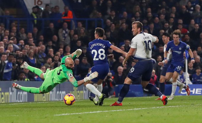 Soccer Football - Premier League - Chelsea v Tottenham Hotspur - Stamford Bridge, London, Britain - February 27, 2019  Chelsea's Willy Caballero in action as Tottenham's