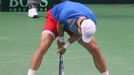 Tenis, DC, Česko - Argentina: čtyřhra -  Tomáš Berdych