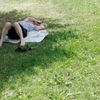 Tak vypadají až čtyřicetistupňová vedra, podívejte
