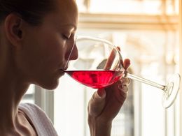 "Alkohol je zlo, tak ho vypijeme." Průměrný Čech si ročně dá 292 piv a 29 lahví vína