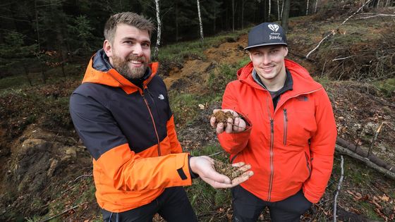 Foto: V Jizerských horách zkouší jednoduchý a přitom účinný způsob, jak zadržet vodu