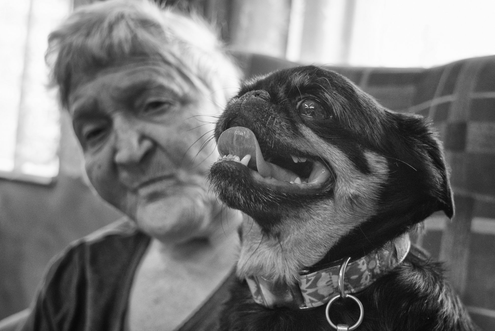 Jan Jirkovský: snímky ze souboru Canisterapie