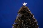 Kdo ví o vánočním stromu pro Prahu? Ptá se firma lidí