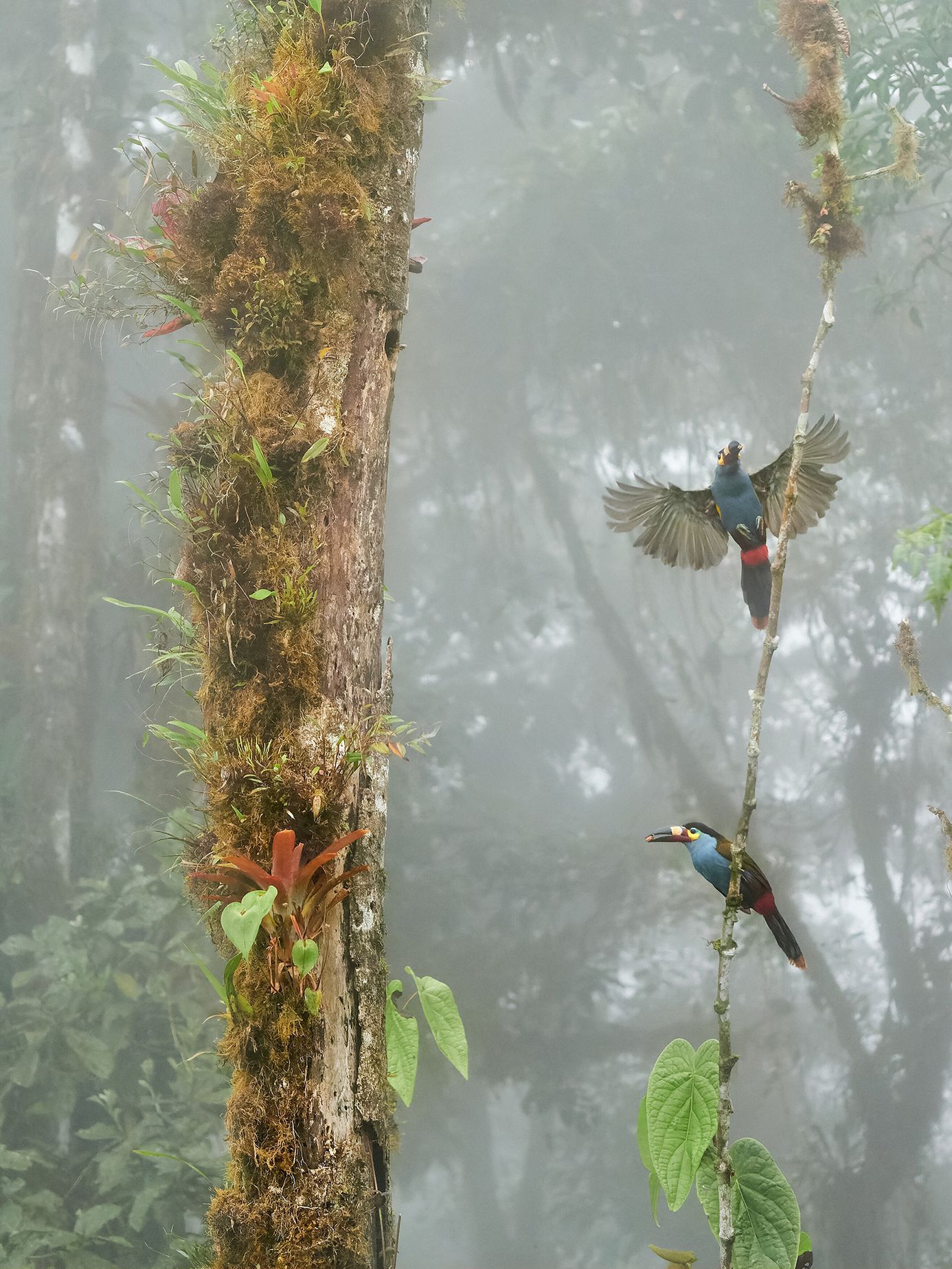 Nominace na ceny Czech Nature Photo 2022