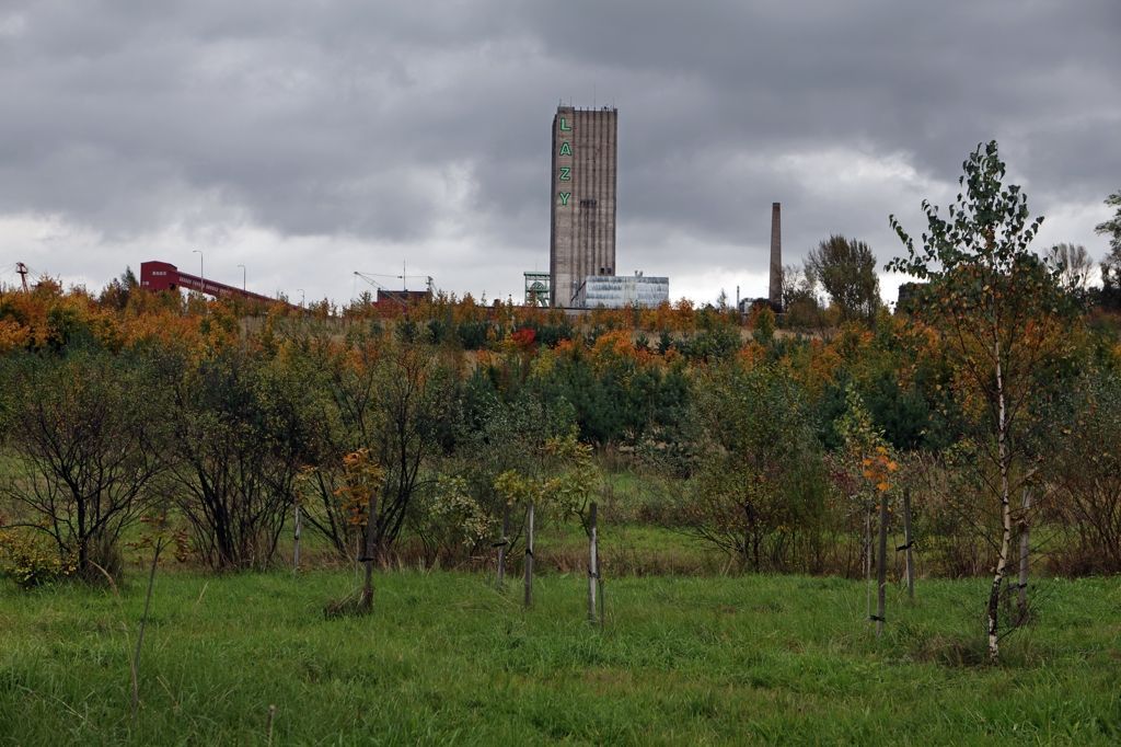 koksovna Lazy