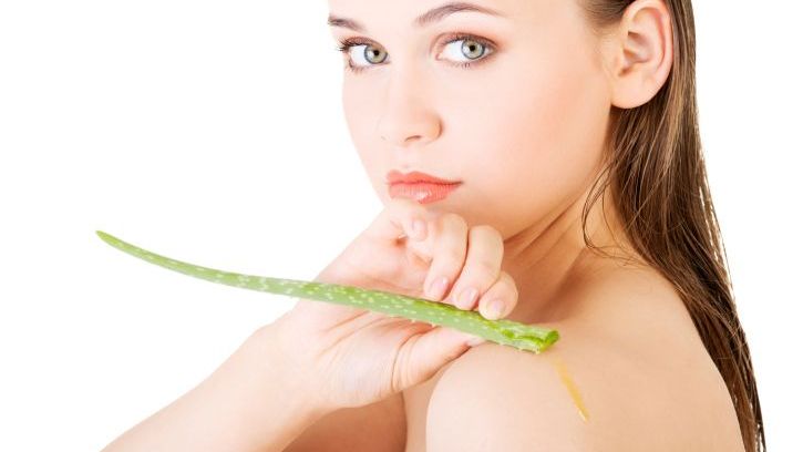 Aloe Vera Rostlina: Zázračný Dar Přírody pro Vaše Zdraví () Aloe Vera Rostlina: Zázračný Dar Přírody pro Vaše Zdraví