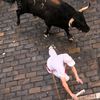 Španělsko, Pamplona, San Fermin, bejci