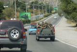 I přes podepsané příměří auta naložená gruzínskými vojáky opouštějí hlavní město Tbilisi.