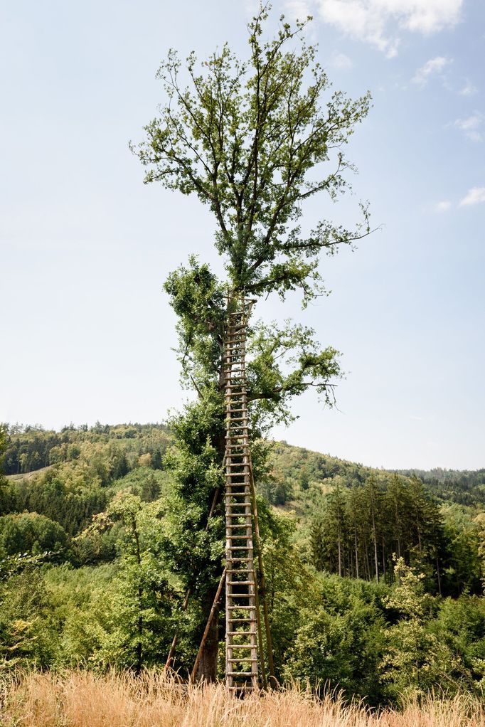 Střelice - stairway to heaven