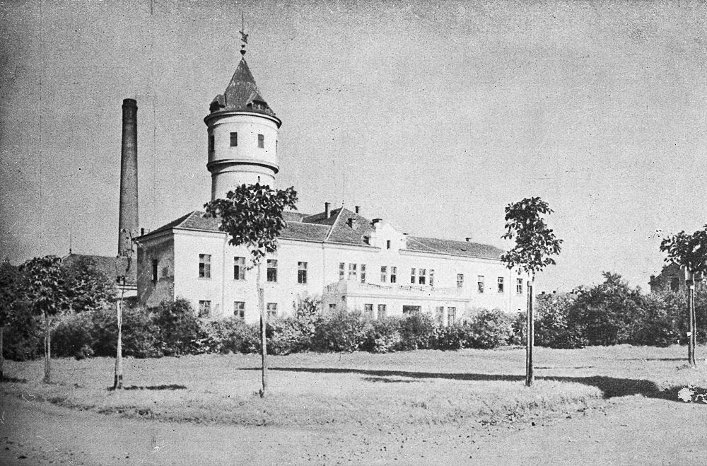 Psychiatrická nemocnice Bohnice, Bohnice, Ústav pro choromyslné v Bohnicích, Praha, historie, výročí, Domácí