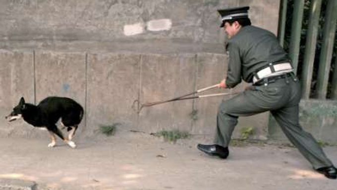 Čínští chovatelé mají strach o své psy. V ramci zákroku proti vzteklině mohou totiž snadno padnout do rukou odchytavačů.