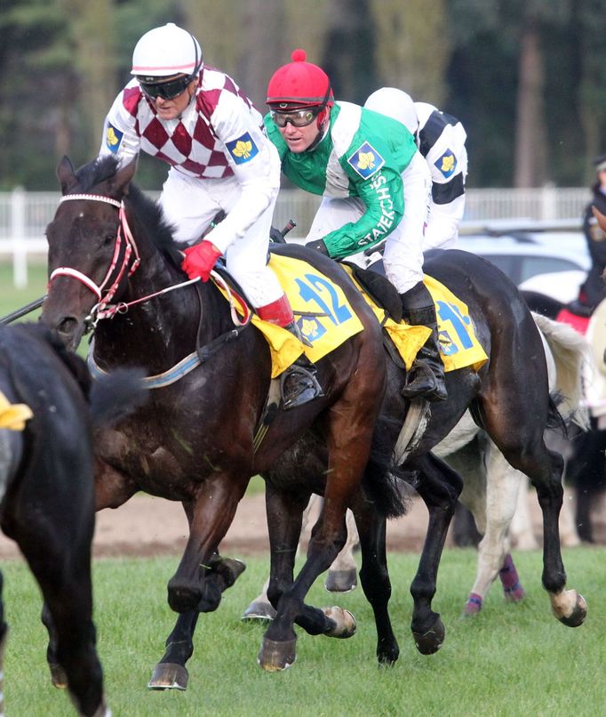 Žokej Josef Váňa na Tiumenovi během Velké pardubické 2012.