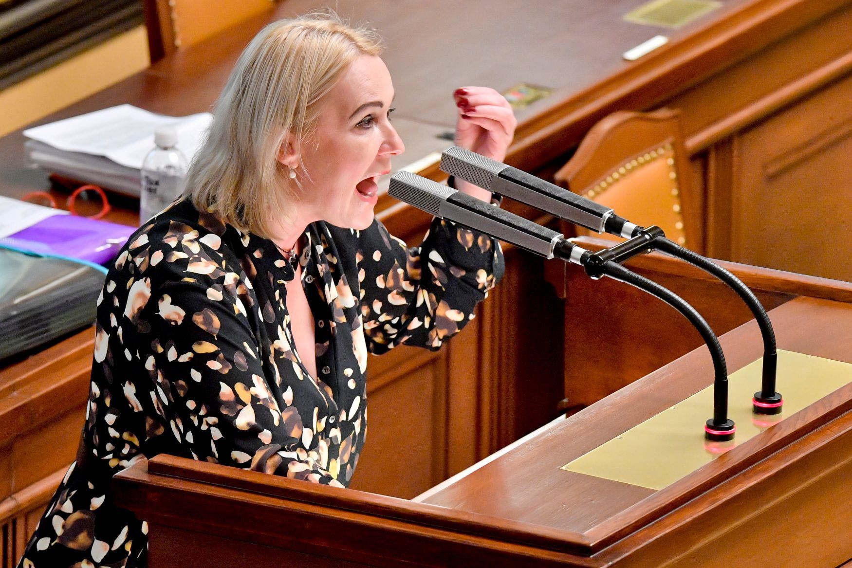 Poslankyně Jana Černochová (ODS) během vystoupení v Poslanecké sněmovně