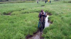 Revitalizace potoků na Šumavě