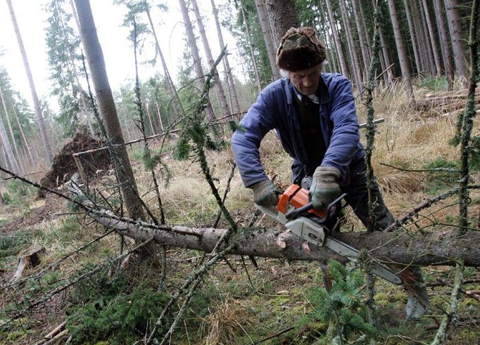 V okolí přehrady Orlík nejsou žádné celistvé polomy, ale během noci padlo na stovky stromů. Lesníci z Lesní správy se hned ráno pustili do odstraňování padlého dříví. Byli rádi, že půda je relativně suchá a že na stromech nebyl sníh. "To by pak bylo mnohem horší," shodli se.