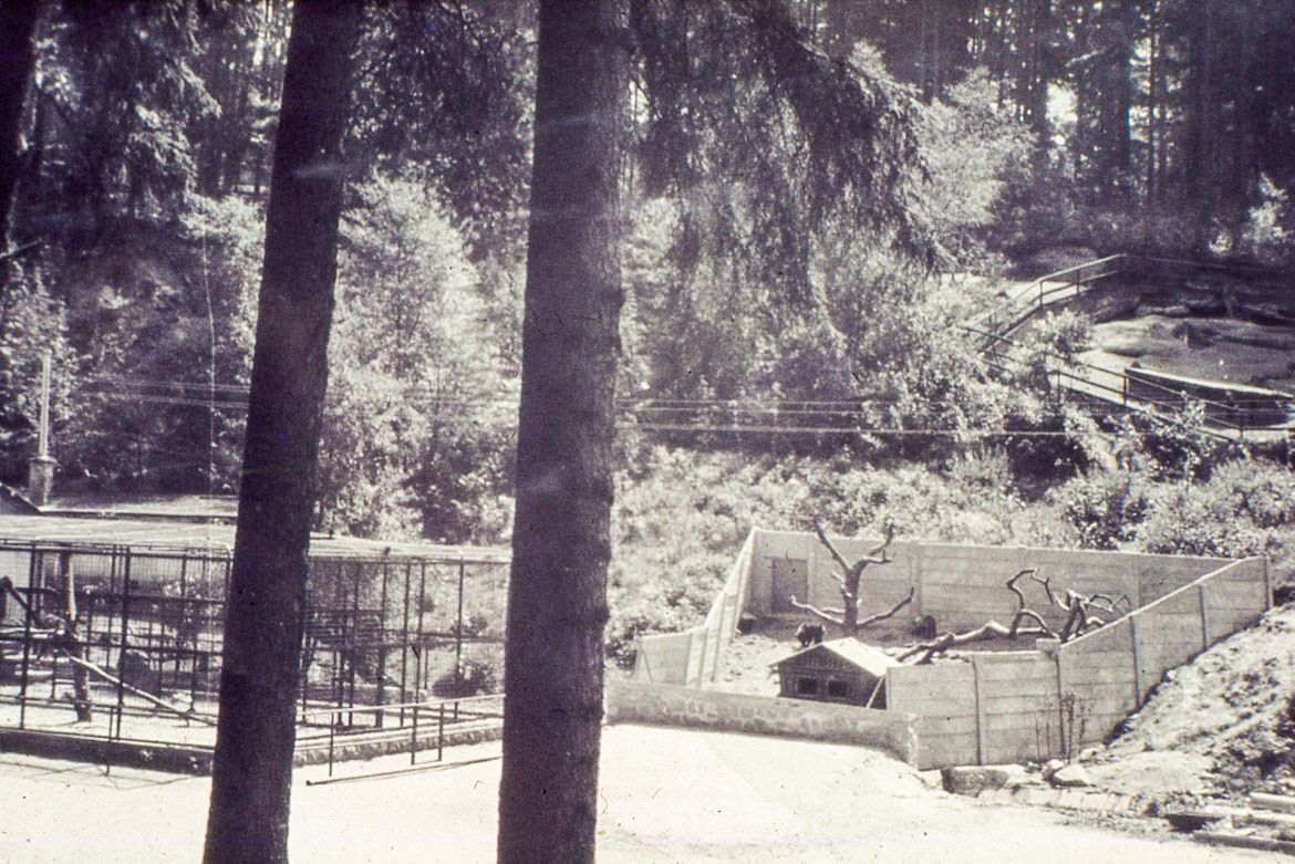 ZOO Liberec, zoo, zoologická zahrada, Liberec, historie, výročí, Domácí