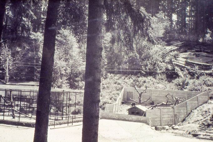 ZOO Liberec slaví 120 let od svého vzniku. Podívejte se na historické momenty a vývoj nejstarší zoologické zahrady v českých zemích od jejího založení v roce 1904.