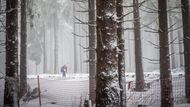 Durynský les a konkrétně středisko Oberhof tento týden hostilo Světový pohár biatlonistů. A zejména v neděli o sobě dalo místní nechvalně proslulé počasí hodně znát.