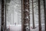Durynský les a konkrétně středisko Oberhof tento týden hostilo Světový pohár biatlonistů. A zejména v neděli o sobě dalo místní nechvalně proslulé počasí hodně znát.