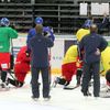 Česká hokejová reprezentace na tréninku před odletem na MS ve Švédsku a Finsku