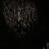 Stalker: Clear Sky