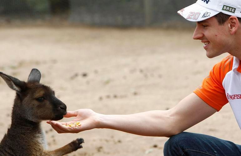 Adrian Sutil krmí klokana