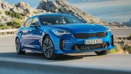 Kia Stinger měří na délku 4,83 m. Tím pádem ji řadíme do střední třídy mezi manažerská auta. Vzhledem k pohonu zadních, nebo všech kol a pětidveřové karoserii jsou jejím nejbližším konkurentem vozy BMW 3 GT nebo 4 Gran Coupé. Charakterem a designem má blízko k sedanu Alfa Romeo Giulia. Mezi širší okruh konkurentů lze díky velkým pátým dveřím zařadit i špičkové verze Škody Superb.