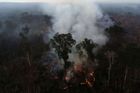 Letošek byl rok požárů. Pokud přijdeme o pralesy, změní se klima na celé planetě