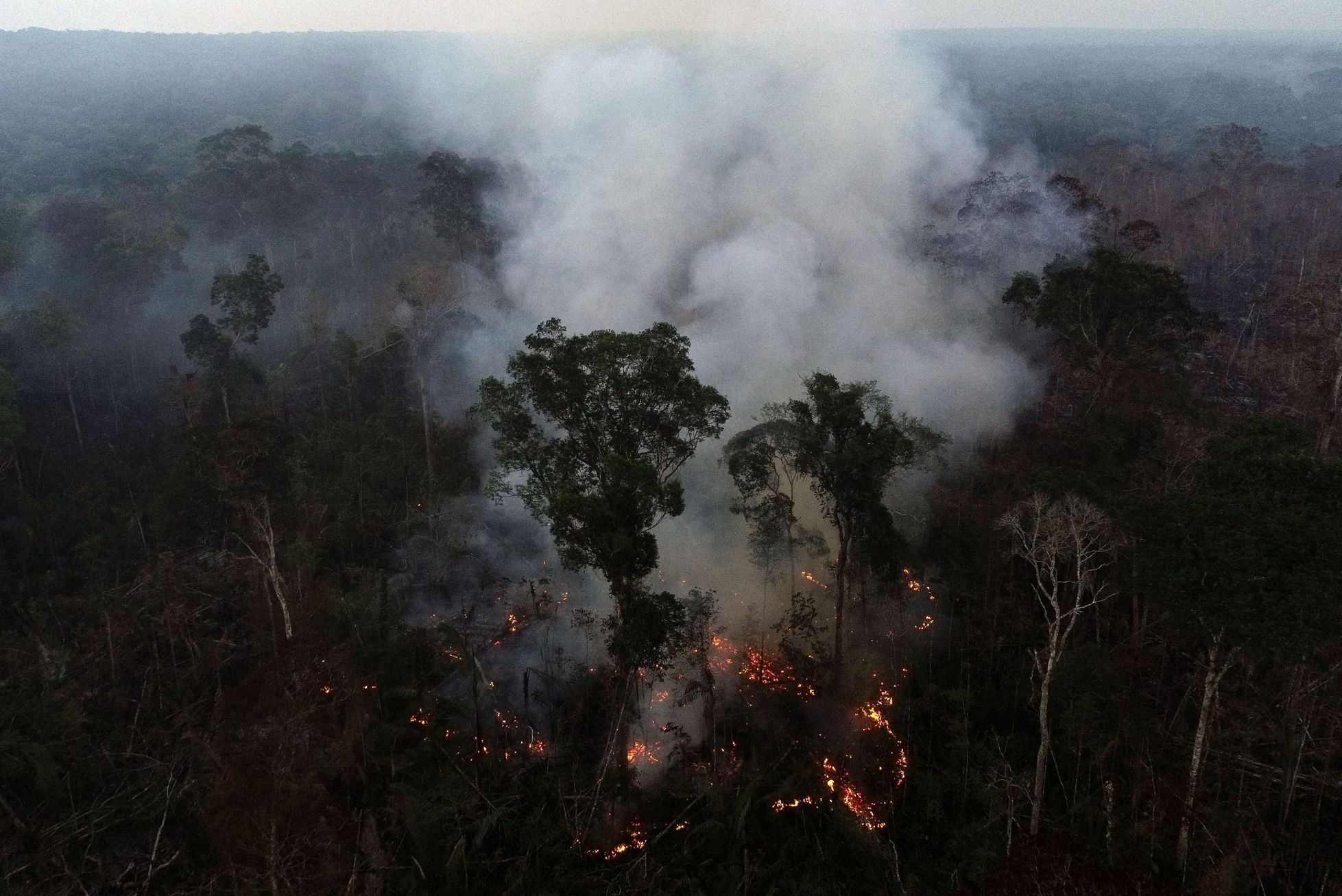Požáry v amazonském pralese