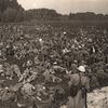 WW1 anniversary
