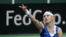 Fed Cup, Česko - Austrálie: Lucie Šafářová