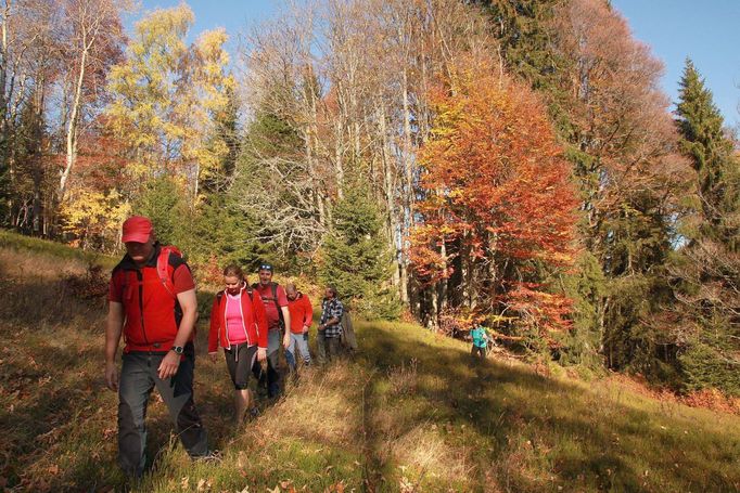 Šumava