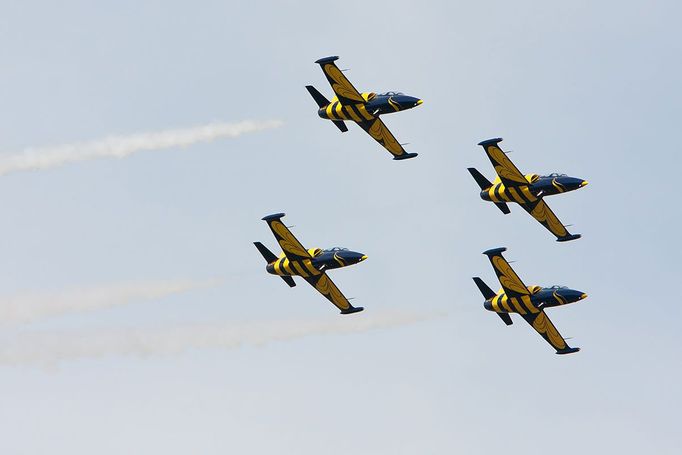 4x L-39 Albatros (Baltic Bees Jet Team)