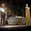 Letní shakespearovské slavnosti - Othello