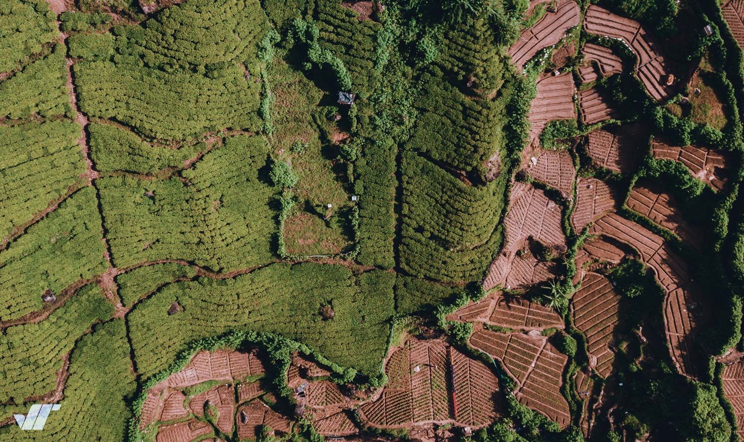 Jan Trnka: ukázka z portfolia