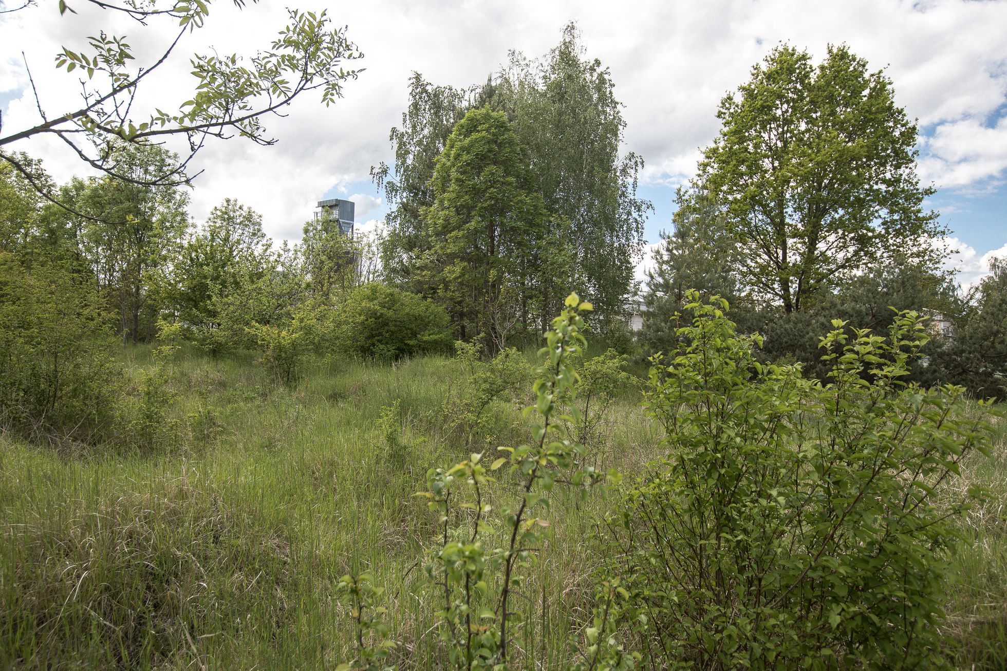 Chráněné území Na Plachtě, Hradec Králové