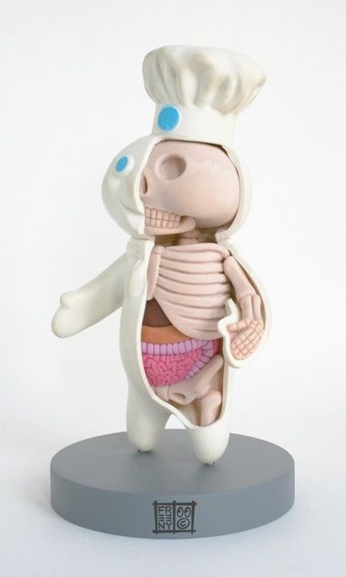 anatomické hračky