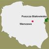 Mapa Polska s vyznačeným Bialowiežským pralesem