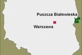 Mapa Polska s vyznačeným Bialowiežským pralesem na pomezí Běloruska a Polska.