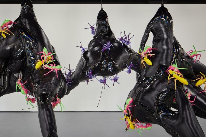 Fotografie z výstavy Mary-Audrey Ramirezové v Polansky Gallery.