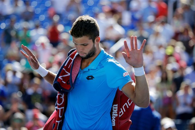 US Open 2015: Jiří Veselý