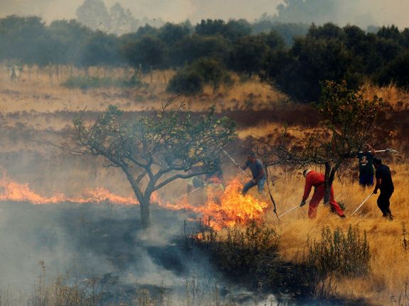 Místní obyvatelé a sousedé z jiných vesnic se snaží uhasit lesní požár, který se blíží k obci Abejera de Tábara v provincii Zamora ve Španělsku.