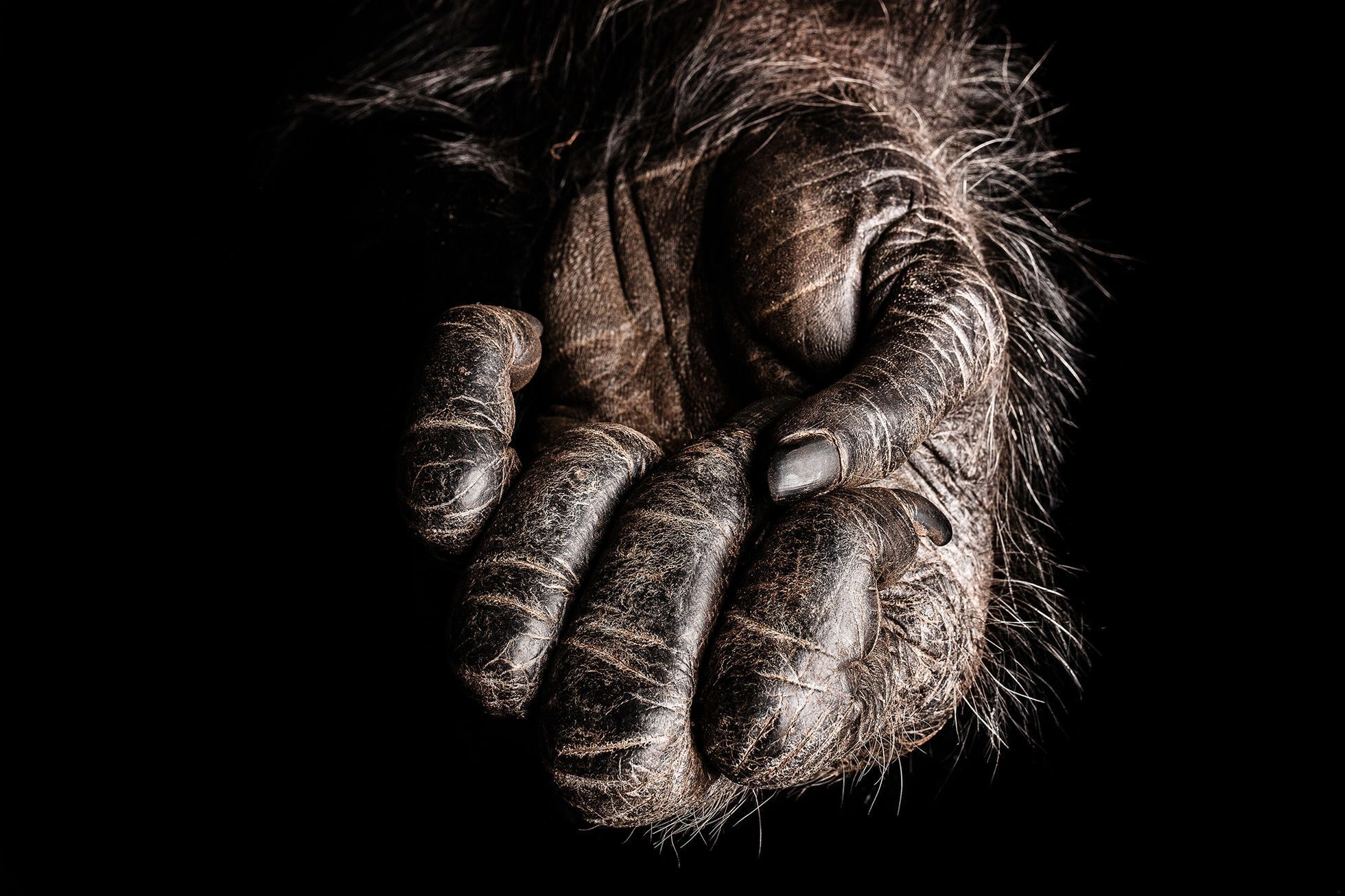 Nominace na ceny Czech Nature Photo 2022