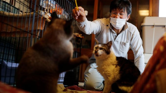 Spasitel zachraňuje opuštěná zvířata v japonské Fukušimě. Vlastní už 41 koček