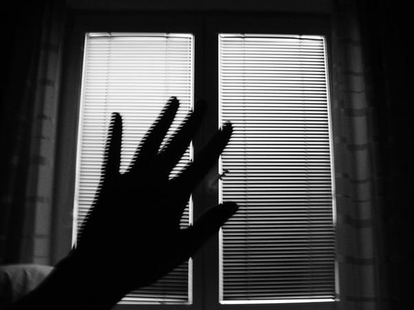 Week of Life - Žaneta Malá 1