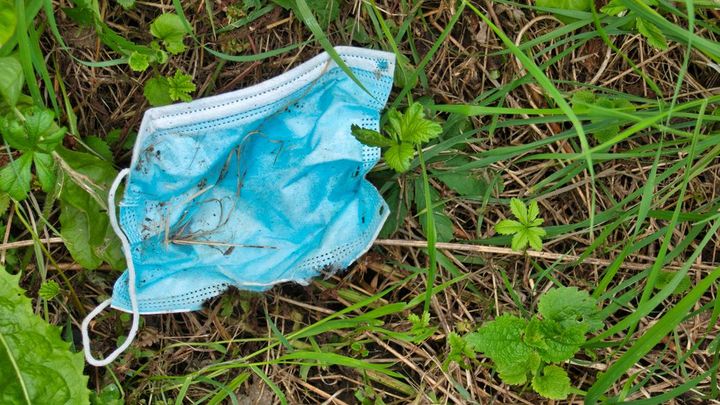 Neobvyklé recyklace: Vědci přišli s "vanilkovou" metodou i rozložitelnými rouškami; Zdroj foto: Shutterstock
