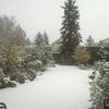 První zima: Vinoř u Prahy