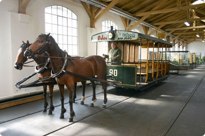 Za zrod pražské MHD je považováno 23. září roku 1875. Na trať tehdy vyjel první vůz ještě koněspřežné tramvaje s cestujícími. "První úsek pražské koňky začínal v Karlíně poblíž Invalidovny, kde se nacházela vozovna. Trať byla dvoukolejná a dlouhá 3,4 km. Při dokončení výstavby sítě v roce 1885 měřila již 18 875 km," říká mluvčí DPP Ilona Vysoudilová.