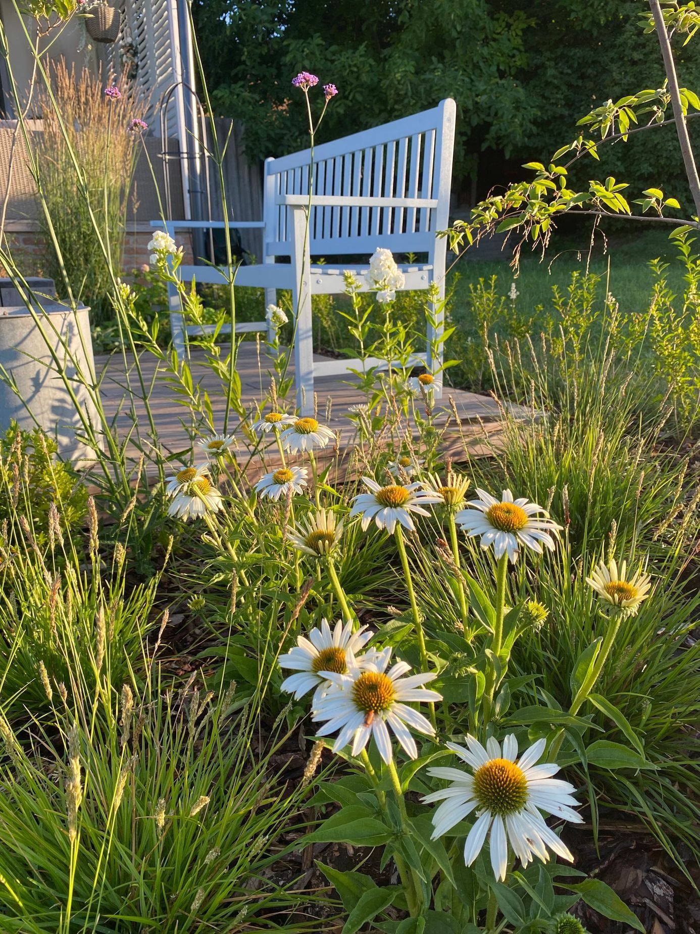 bydlení, příběh, rodina, rekonstrukce, dům, přechodný dům